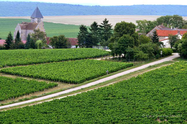 Sentier de randonnée autour de Préhy