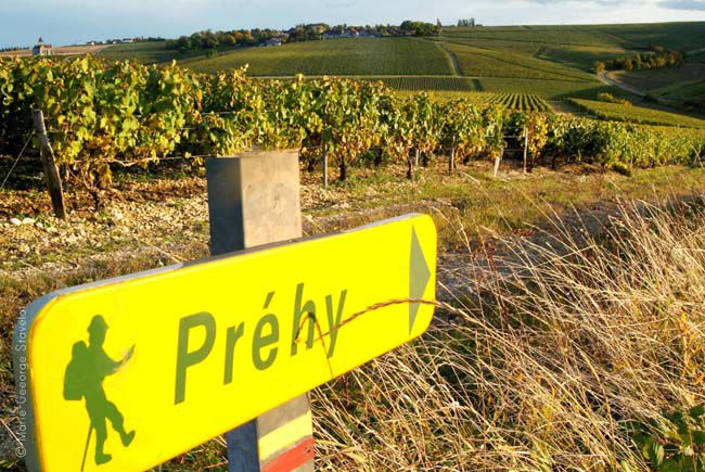 Sentier de randonnée autour de Préhy